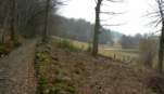 Preview of: 
tour-bosencons04.jpg 
900 x 523 JPEG-compressed image 
(156,944 bytes)