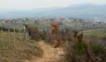 Preview of: 
tour-bosencons09.jpg 
900 x 529 JPEG-compressed image 
(132,214 bytes)