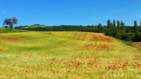 Preview of: 
tour-ratieres03.jpg 
1,012 x 569 JPEG-compressed image 
(112,279 bytes)