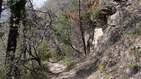 Preview of: 
tour-ratieres09.jpg 
558 x 753 JPEG-compressed image 
(166,918 bytes)